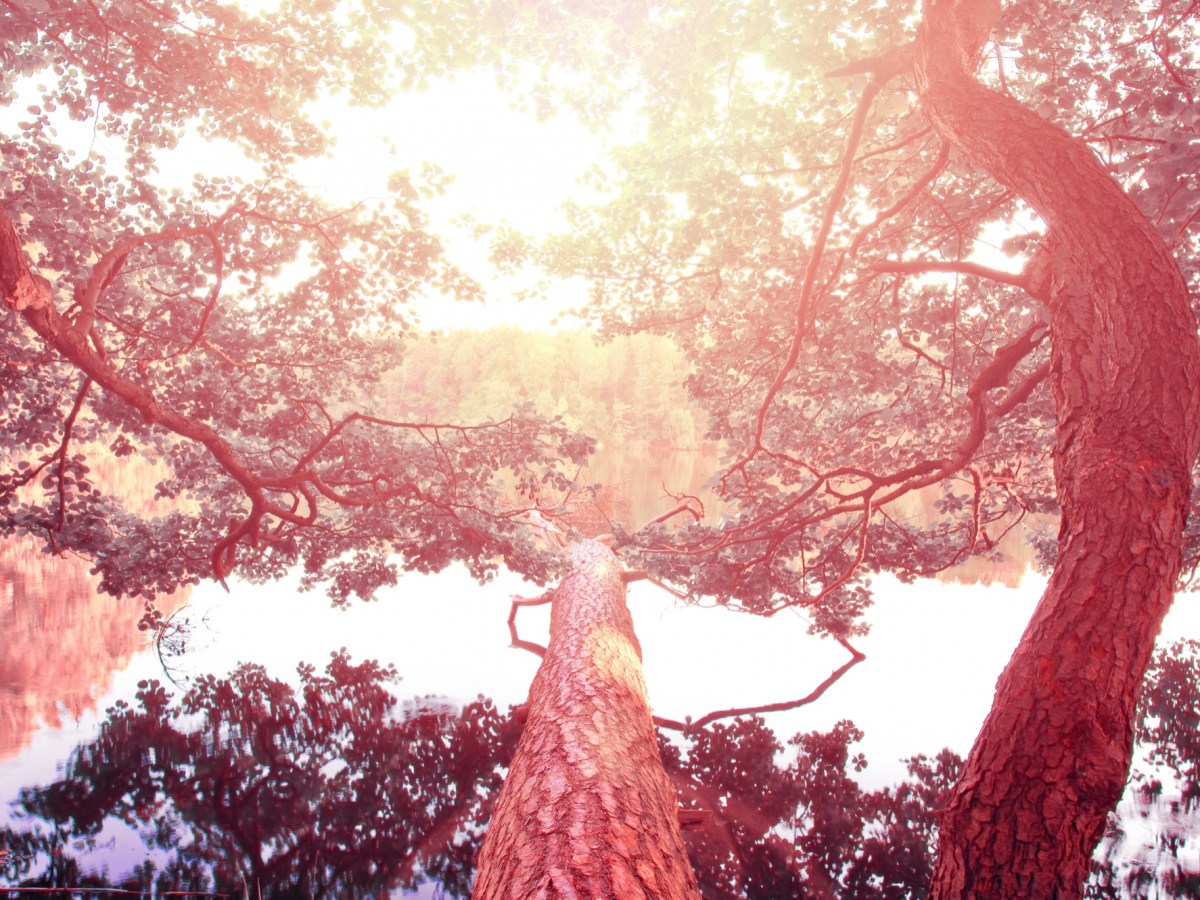 Building Resilience Through&nbsp;Faith